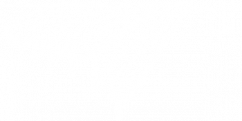 Fraser-Gallop-Illustration-Vineyard.png