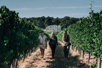 fraser_gallop_estate_taste_of_the_vineyard_house
